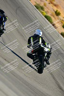 media/Oct-24-2025-2WTD (Fri) [[491f36c2bf]]/B Group/Session 3 (Turn 5)/